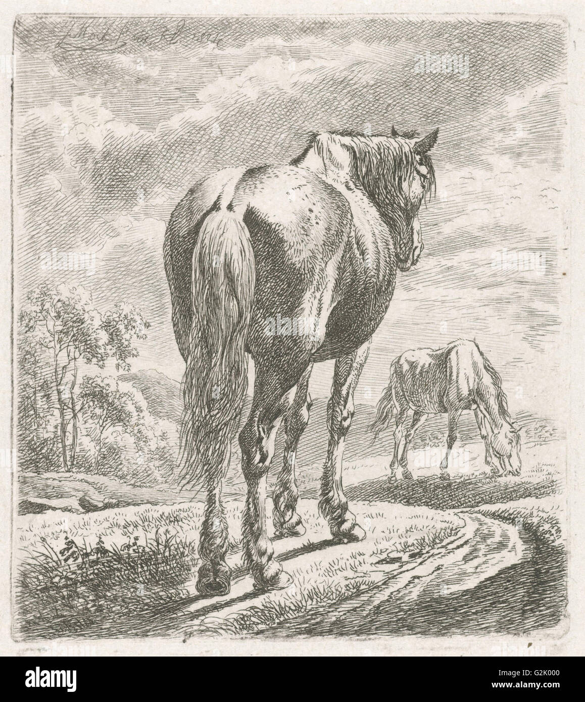 Un cheval est vu obliquement du derrière, dans l'arrière-plan un cheval de pâturage, imprimer bouilloire : Johannes Mock (mentionné sur l'objet) Banque D'Images