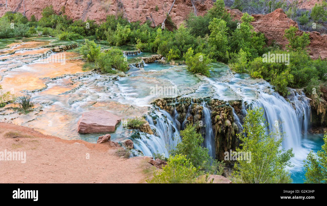 Le soleil du matin de la falaise rouge rebondit et se reflète dans les bassins de travertin Navajo tombe peu à Havasu Canyon. Banque D'Images