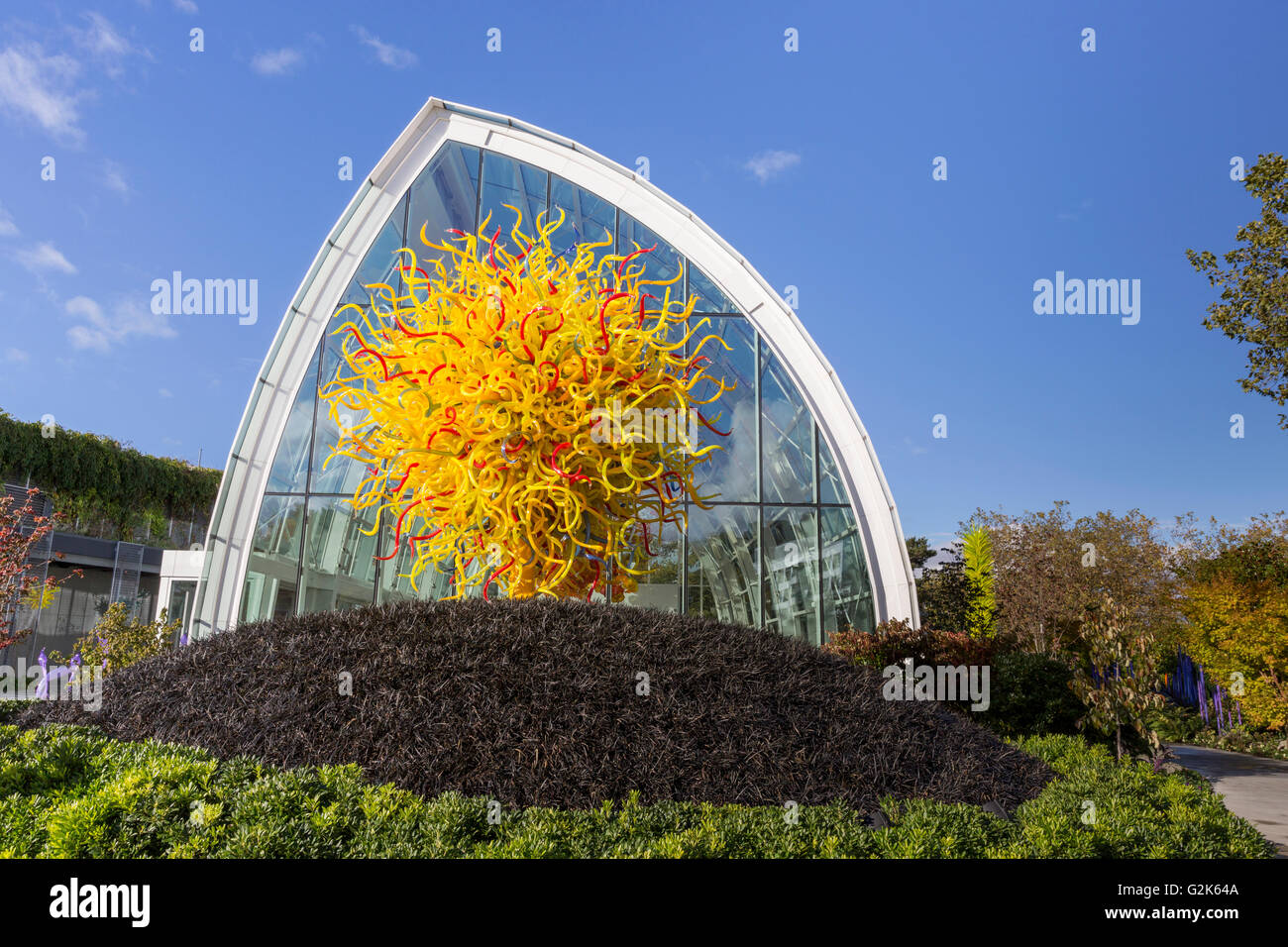 'Le Soleil' une sculpture de verre par Dale Chihuly en face de la "serre" au jardin et de verre Chihuly Gallery de Seattle, WA Banque D'Images