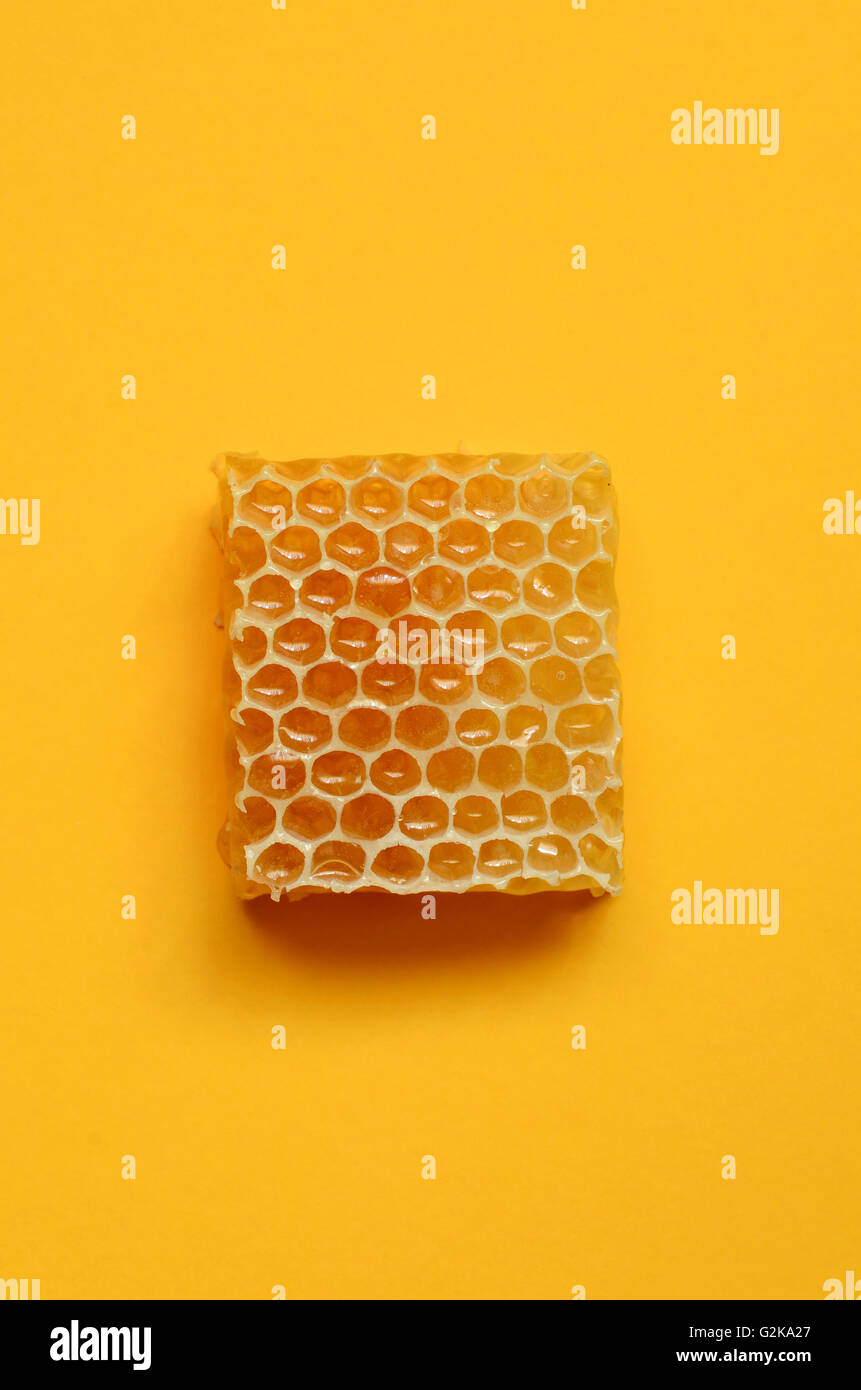 Honeycomb close up image, tourné avec un objectif macro Banque D'Images