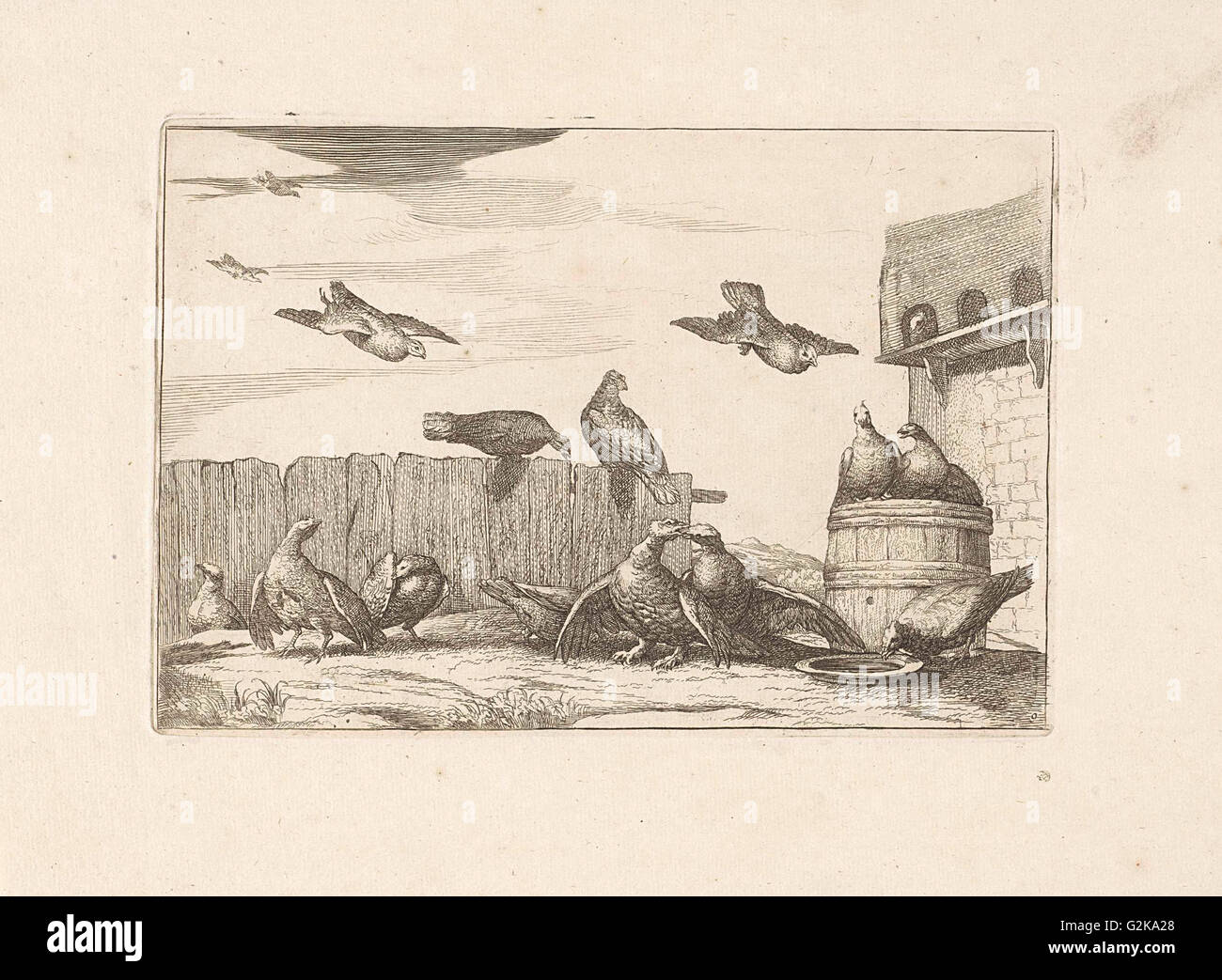 Les pigeons, Francis Barlow, Pieter Schenk (I), 1675 - 1711 Banque D'Images
