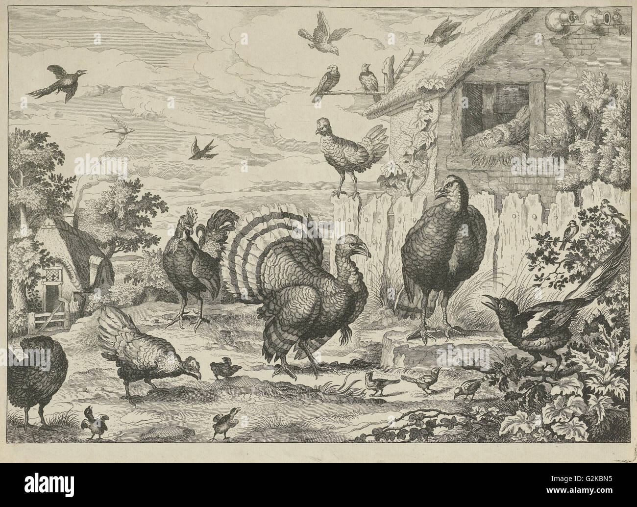 La volaille et d'une Turquie différente, Jan Griffier I, Francis Barlow, 1655 - 1718 Banque D'Images