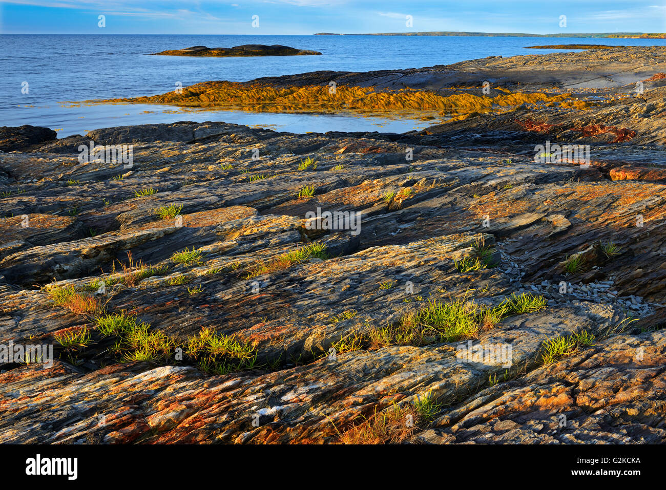 La côte rocheuse de la baie de Lunenburg (Océan Atlantique) Blue Rocks Nova Scotia Canada Banque D'Images