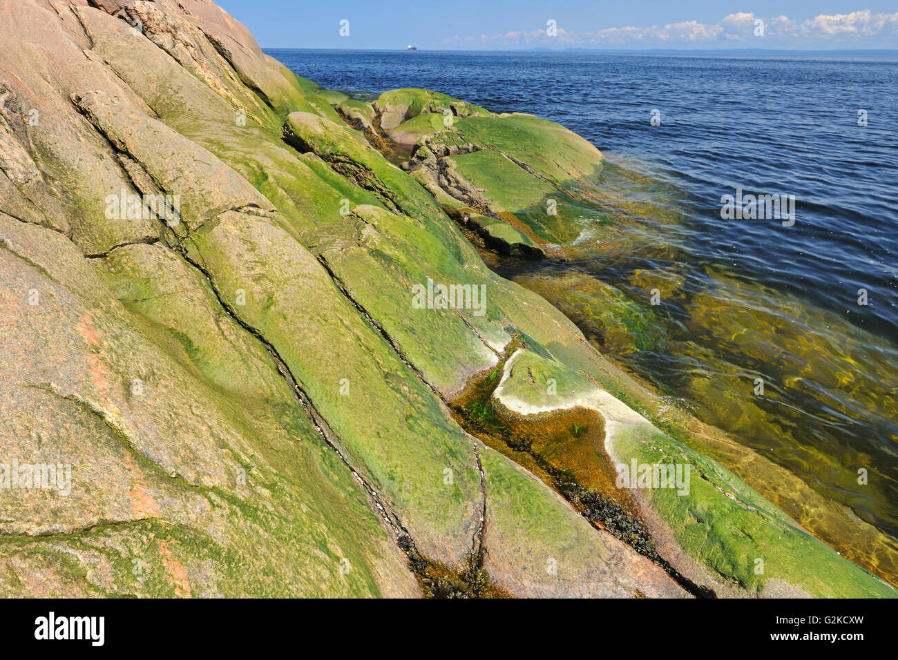 Rivage rocheux le long du golfe du Saint-Laurent de Cap-de-Bon-Désir Québec Canada Banque D'Images