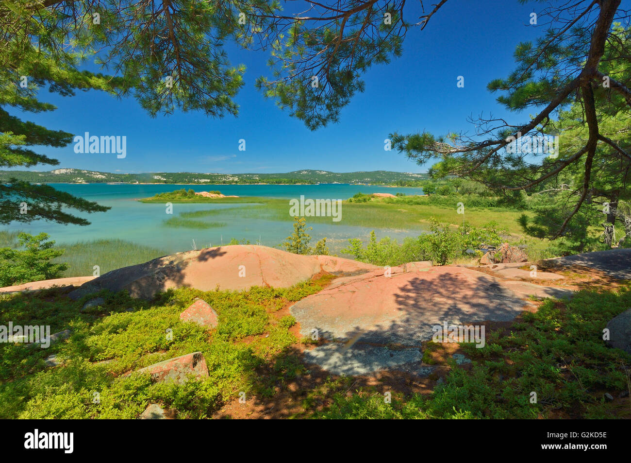 Rivage rocheux de la baie Georgienne du Parc provincial Killarney Ontario Canada Banque D'Images