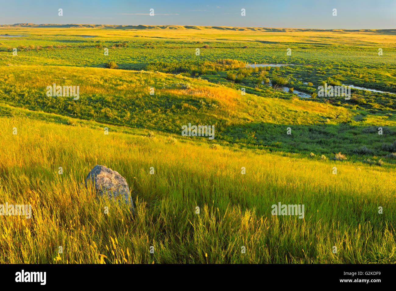 La prairie au lever du soleil (l'Édifice de l'Ouest) Le parc national des Prairies en Saskatchewan Canada Banque D'Images