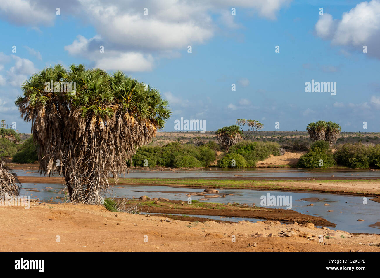 La rivière Tsavo Tsavo East, Parc National, la province côtière du Kenya Banque D'Images