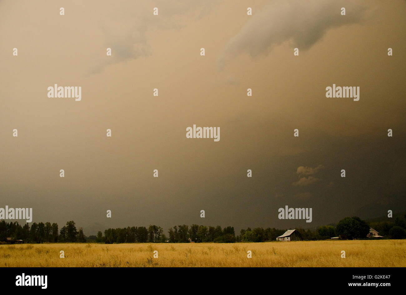 Les nuages de tempête survolez les champs agricoles à Enderby, dans la région de Shuswap de la Colombie-Britannique, Canada. Banque D'Images