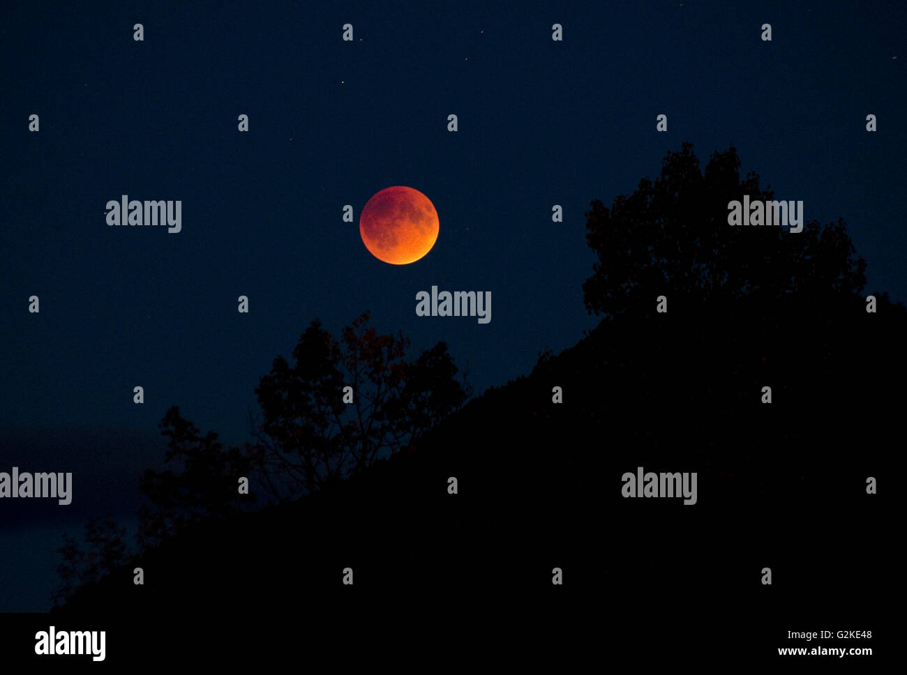 Lune de sang se lève sur les montagnes entourant Enderby, dans la région de Shuswap de la Colombie-Britannique, Canada Banque D'Images