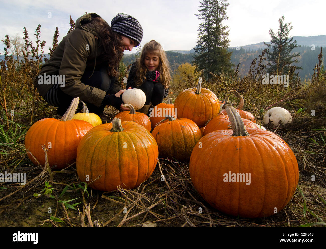 Mère fille sélection des citrouilles dans citrouille Green Croft Gardens à Grindrod dans la région de Shuswap, British Columbia Canada Banque D'Images