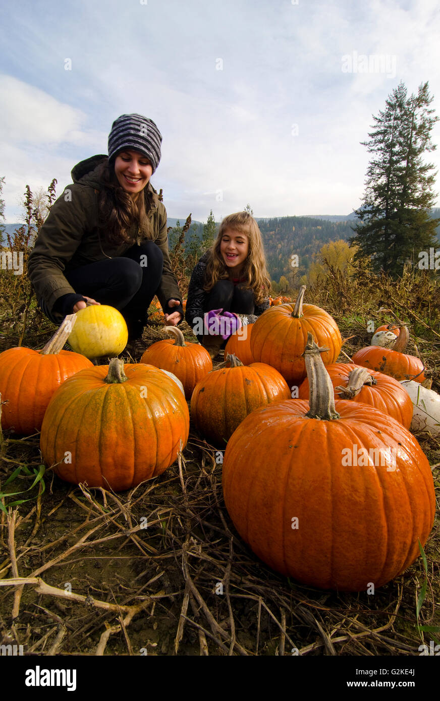 Mère fille sélection des citrouilles dans citrouille Green Croft Gardens à Grindrod dans la région de Shuswap, British Columbia Canada Banque D'Images