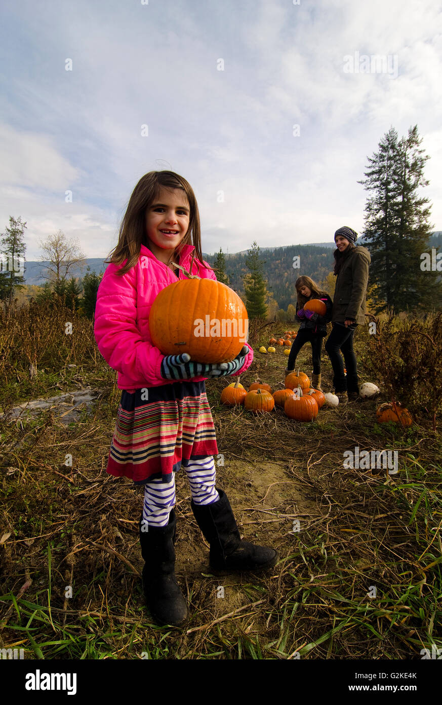 Mère des Filles de la sélection en citrouille citrouilles Green Croft Gardens à Grindrod dans la région de Shuswap, British Columbia Canada Banque D'Images
