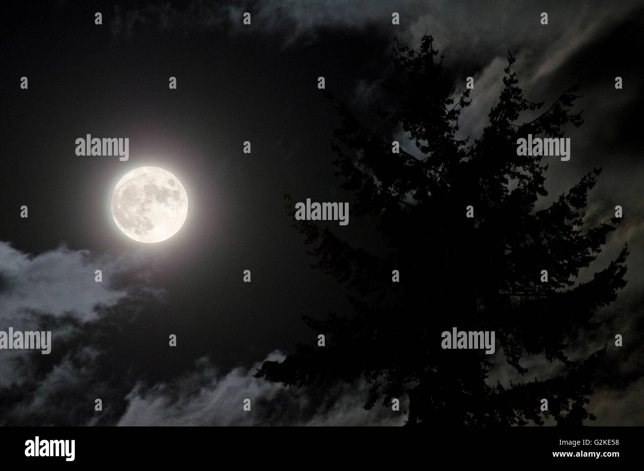 Pleine lune survole Enderby, dans la région de Shuswap de la Colombie-Britannique, Canada Banque D'Images