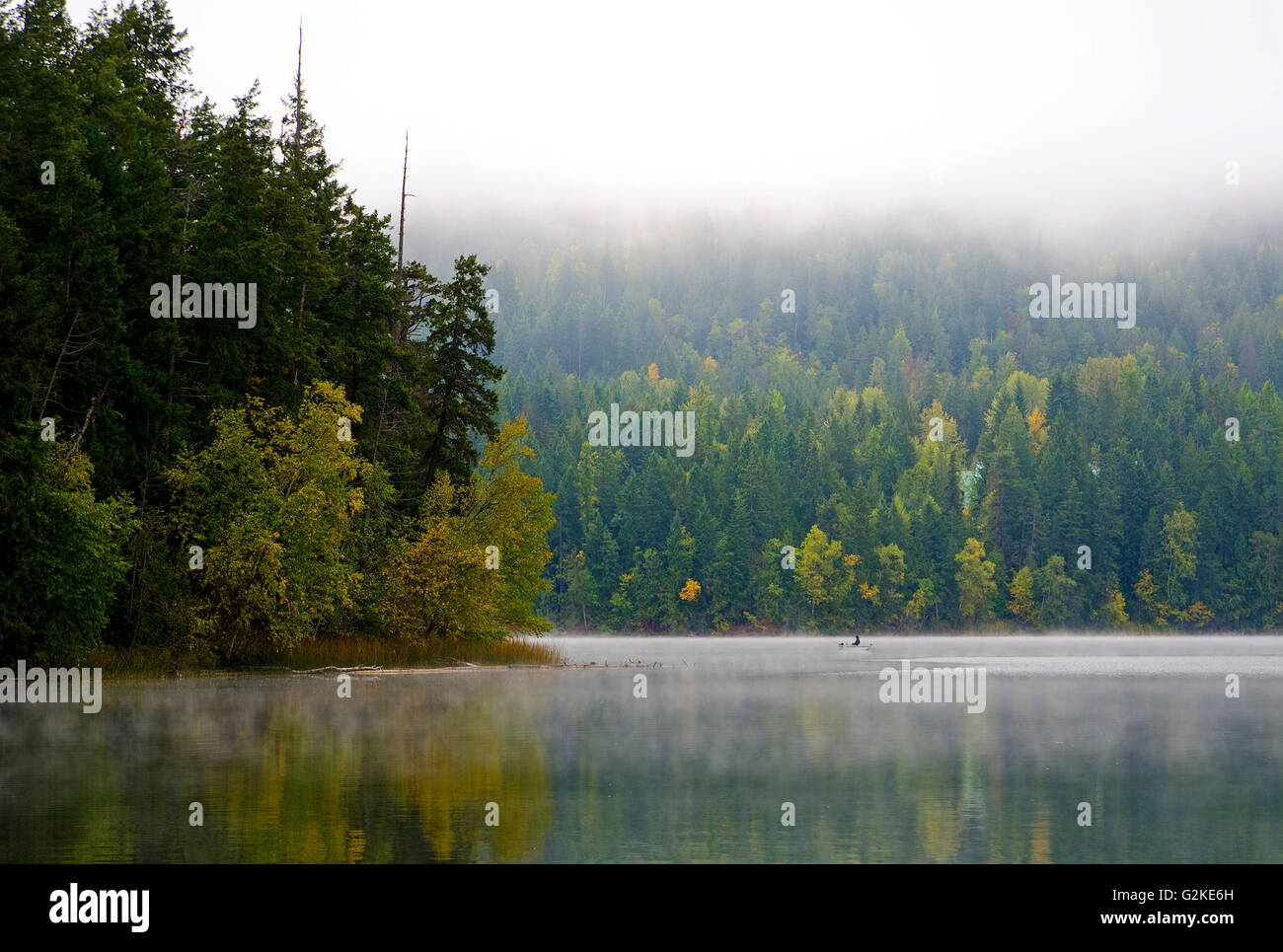 La pêche sur l'automne bénéficie de plaisancier Gardom Lake, près de Salmon Arm dans la région de Shuswap de la Colombie-Britannique, Canada. Banque D'Images