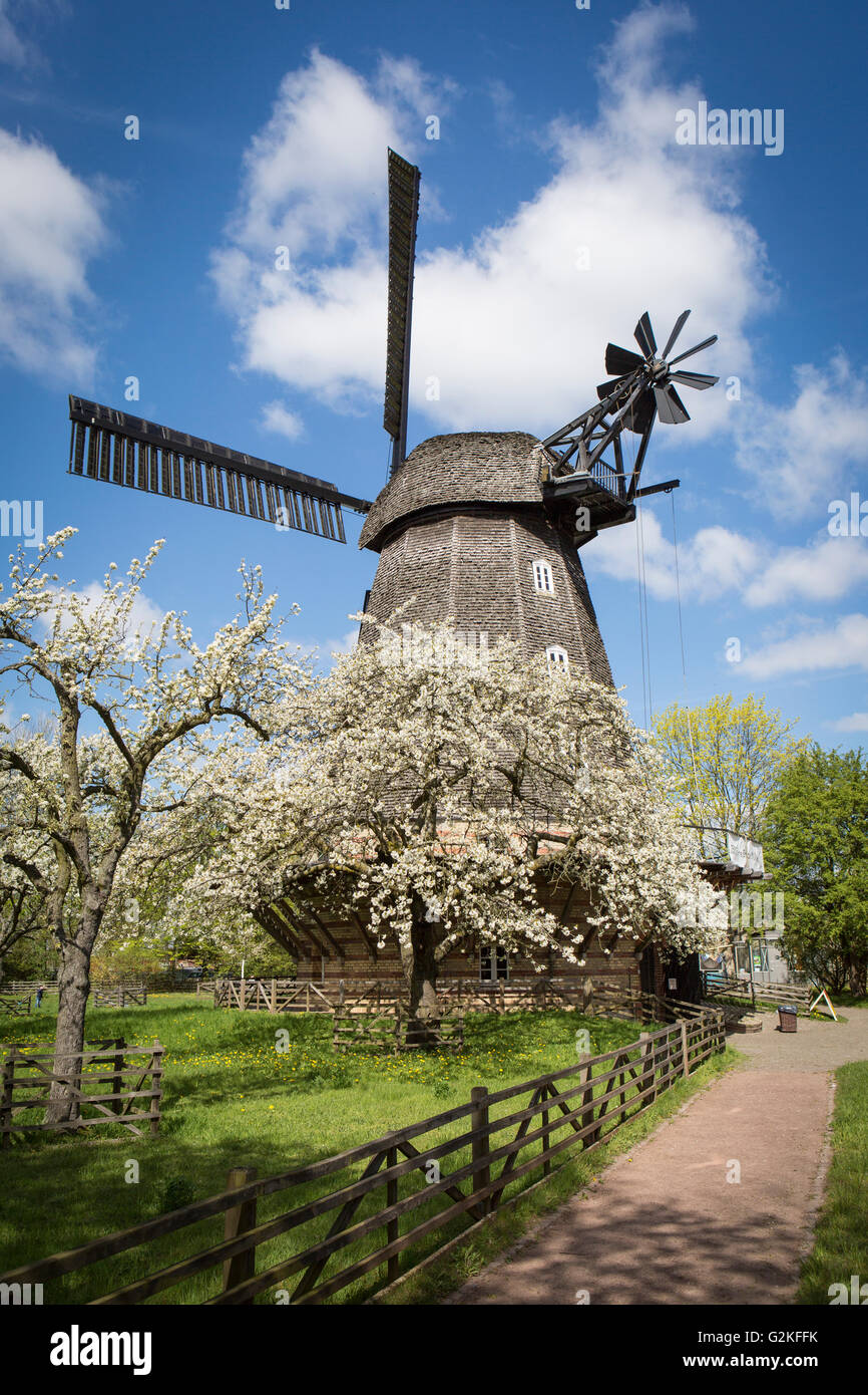 Allemagne, Berlin-Britz, moulin à vent et les arbres en fleurs cherrry Banque D'Images