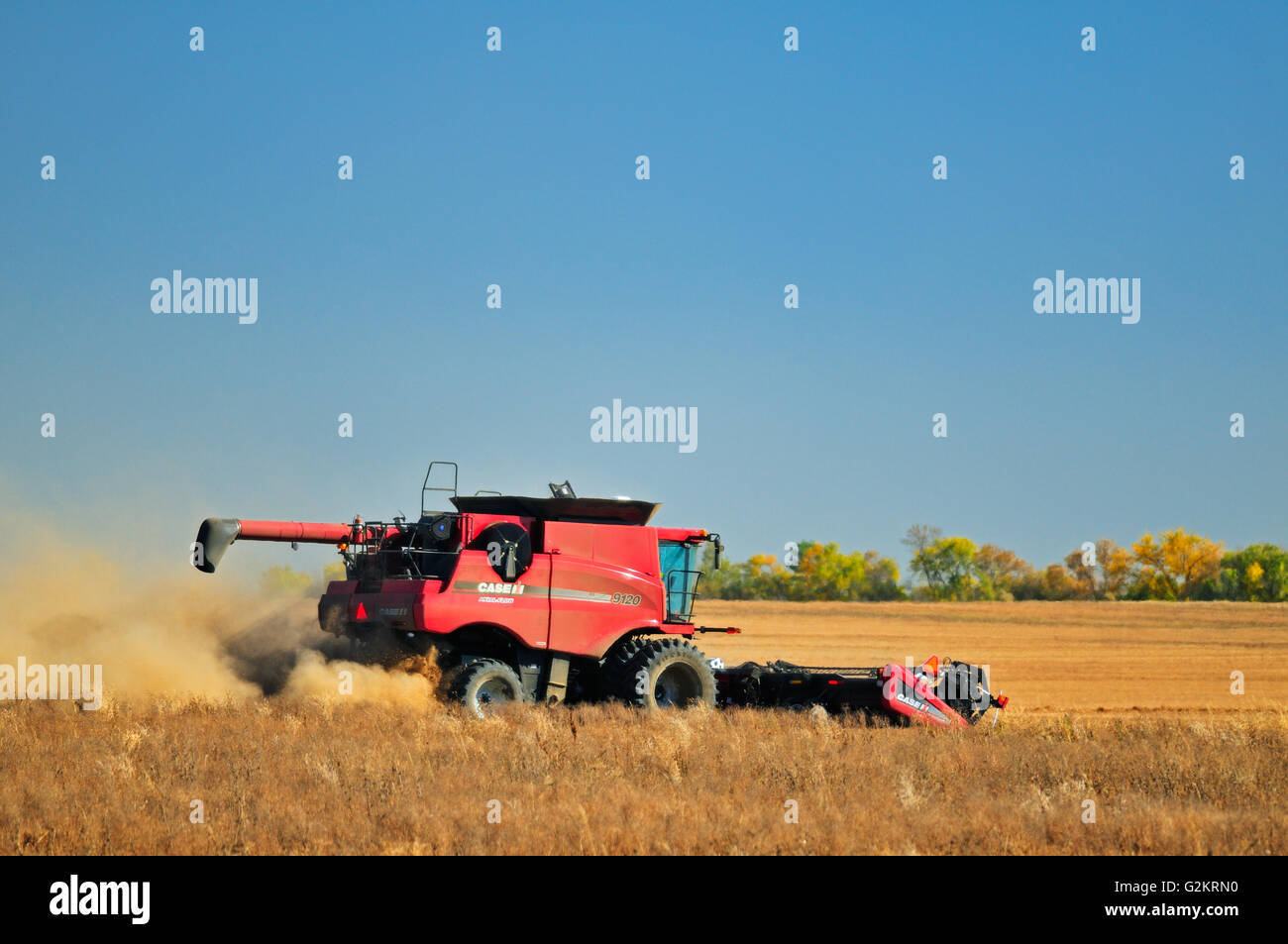 La combinaison de lentilles près de Abermathy Saskatchewan Canada Banque D'Images
