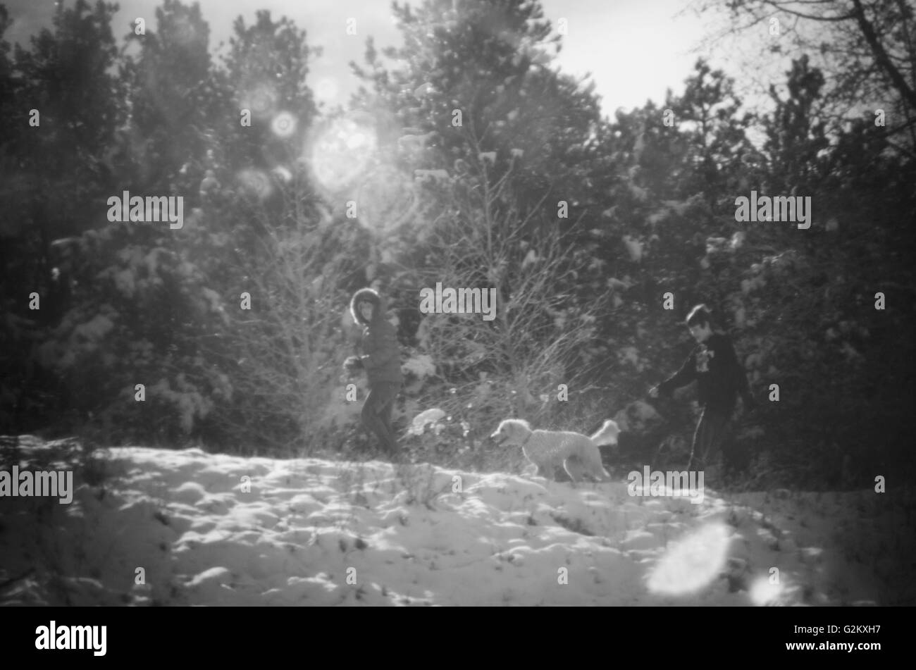 Deux enfants et le chien de la randonnée dans la neige Banque D'Images