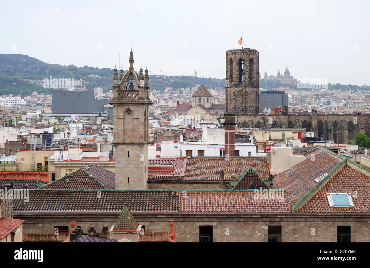 Vue sur Barcelone depuis la visite sur le toit de la cathédrale de Barcelone, Catalogne, Espagne Banque D'Images