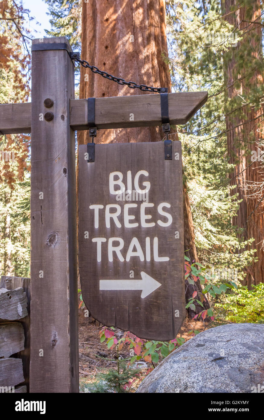 Les grands arbres trail sign in Sequoia National Park, États-Unis Banque D'Images