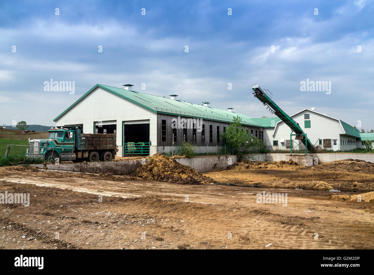 D'extérieur de bâtiment de ferme laitière fosse à fumier Banque D'Images