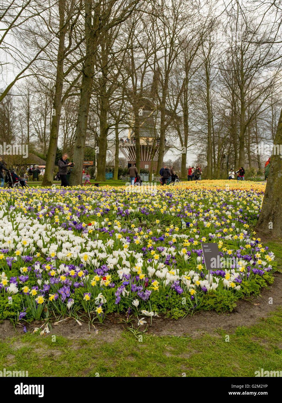 Les visiteurs visiter les nombreuses expositions à fleurs jardins de Keukenhof, lisse, aux Pays-Bas. Banque D'Images