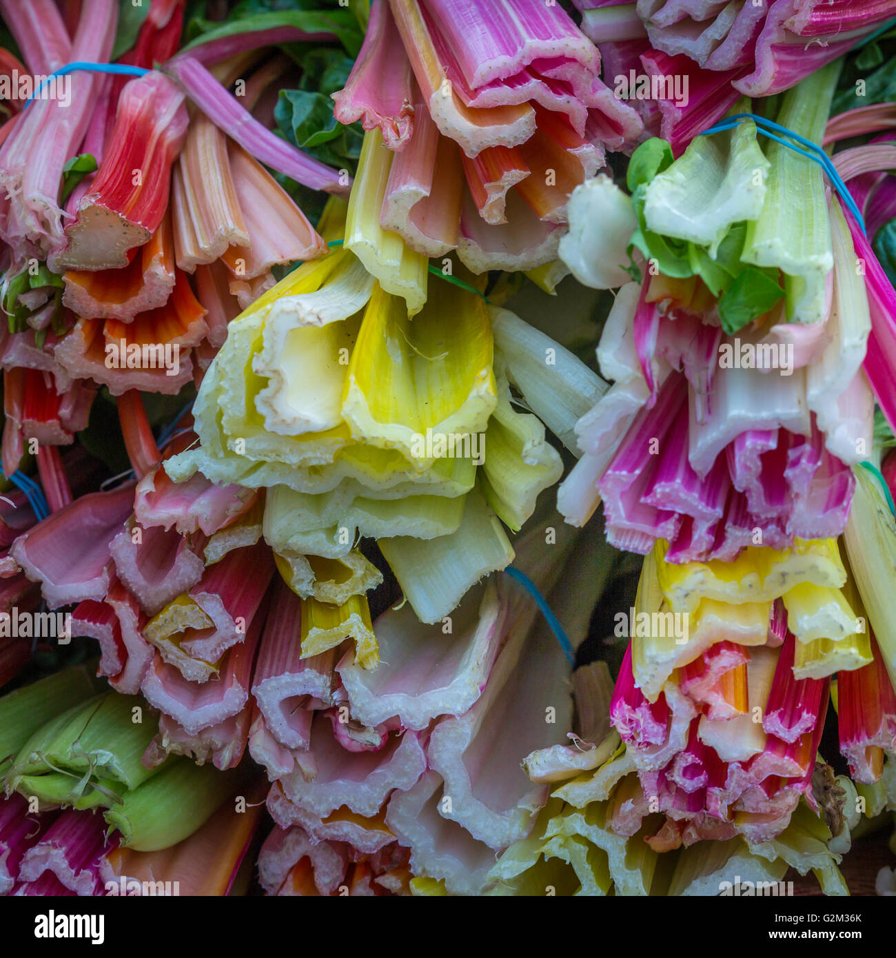 Blettes, chou frisé, chou vert et le marché des fermiers à tiges Banque D'Images