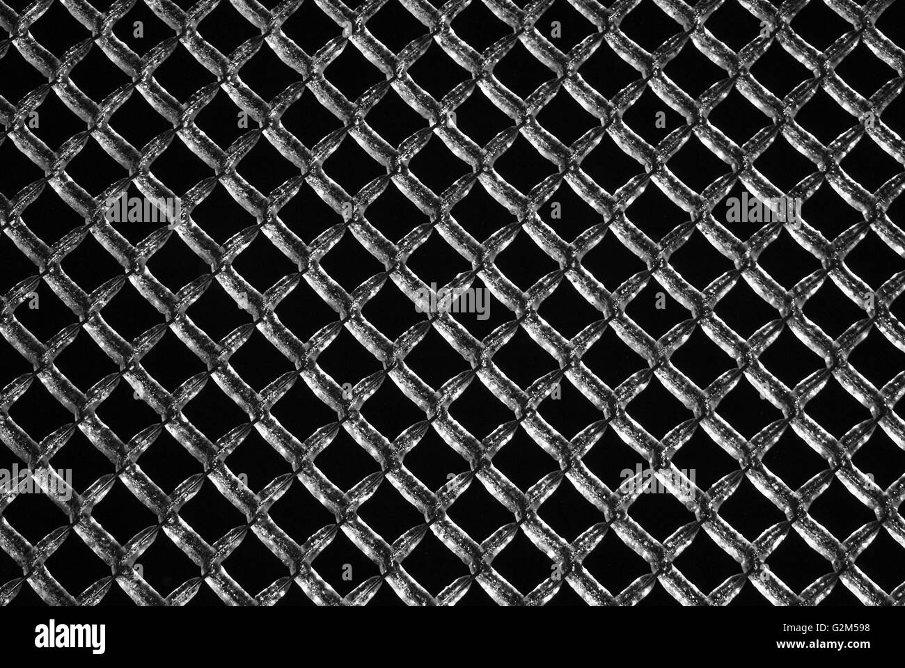 Frozen grillage au milieu d'une tempête de glace. Ottawa, Canada. Banque D'Images