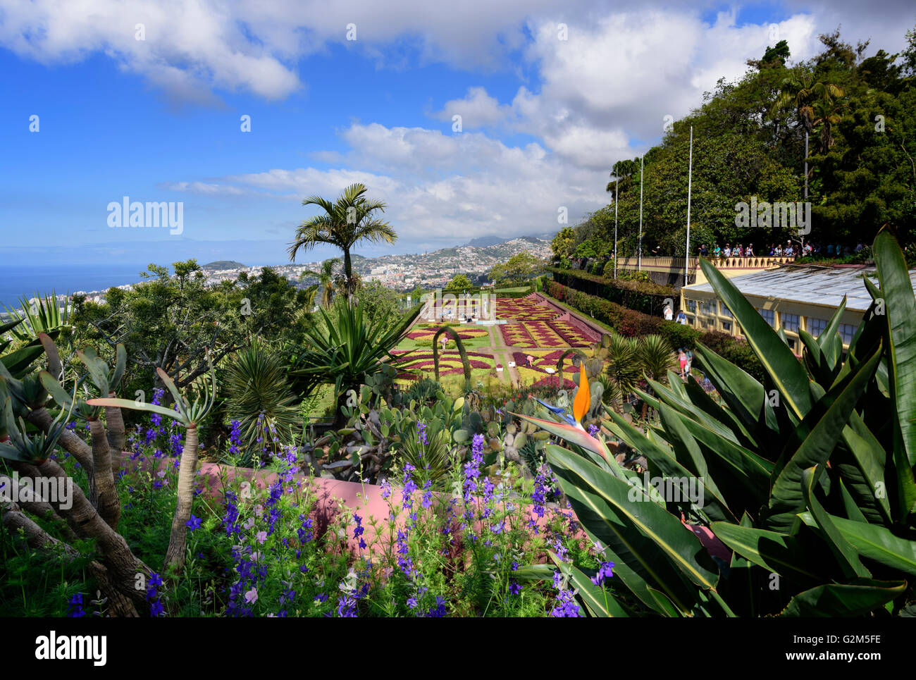 Jardim Botânico da Madeira Banque D'Images