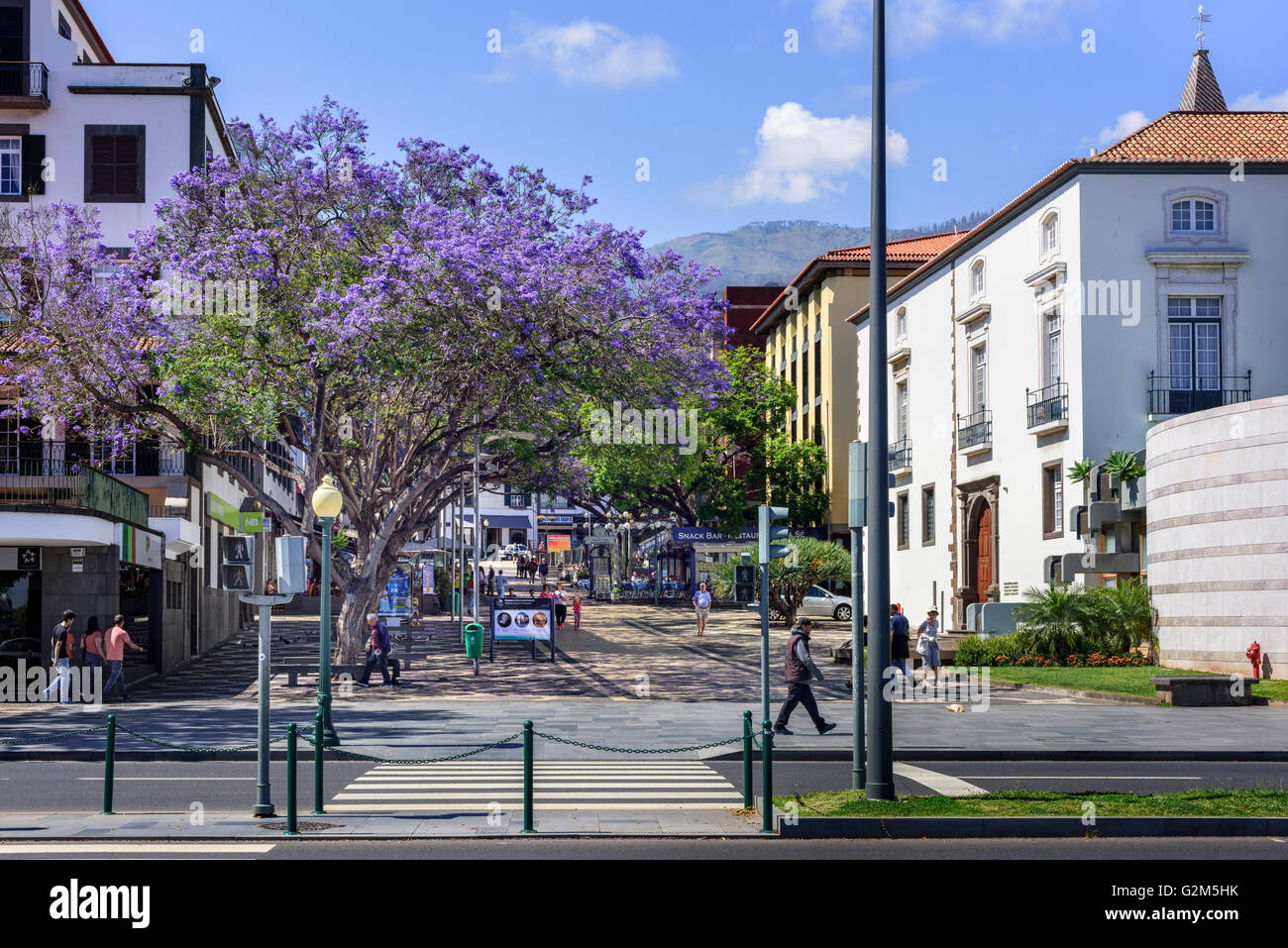 Avenida do Mar, Funchal Banque D'Images