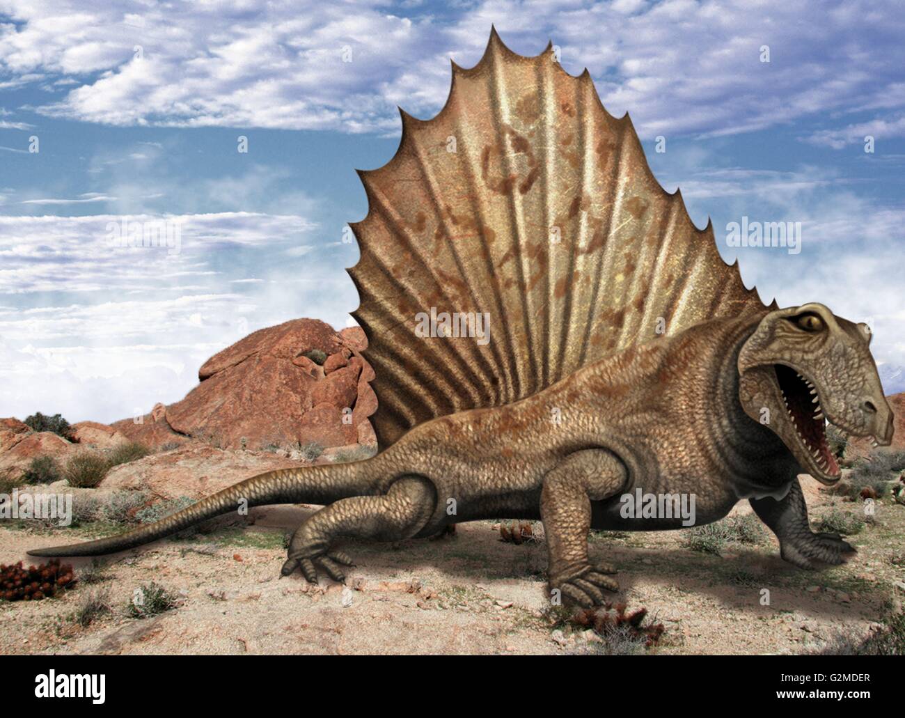 Dimetrodon in desert Banque D'Images
