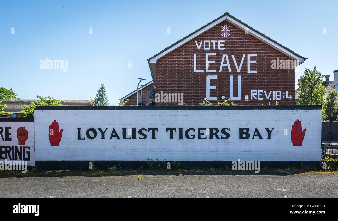 L'UNION EUROPÉENNE Vote Laisser signer à l'entrée des Tigres loyaliste Bay dans le Nord de Belfast. Banque D'Images