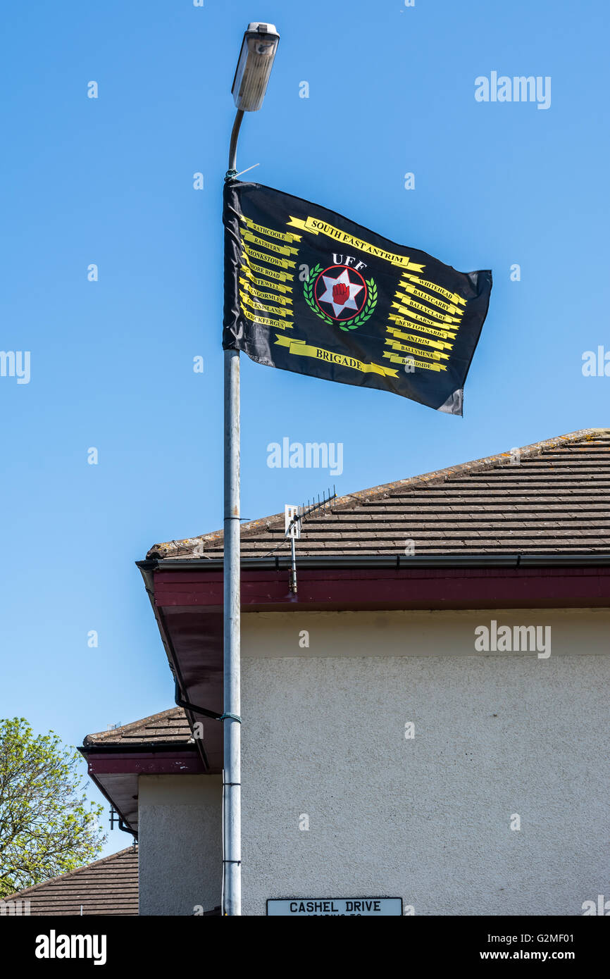 Ulster Freedom Fighters South East Antrim drapeau de la Brigade de lampadaire en succession. Monkstown loyaliste Banque D'Images