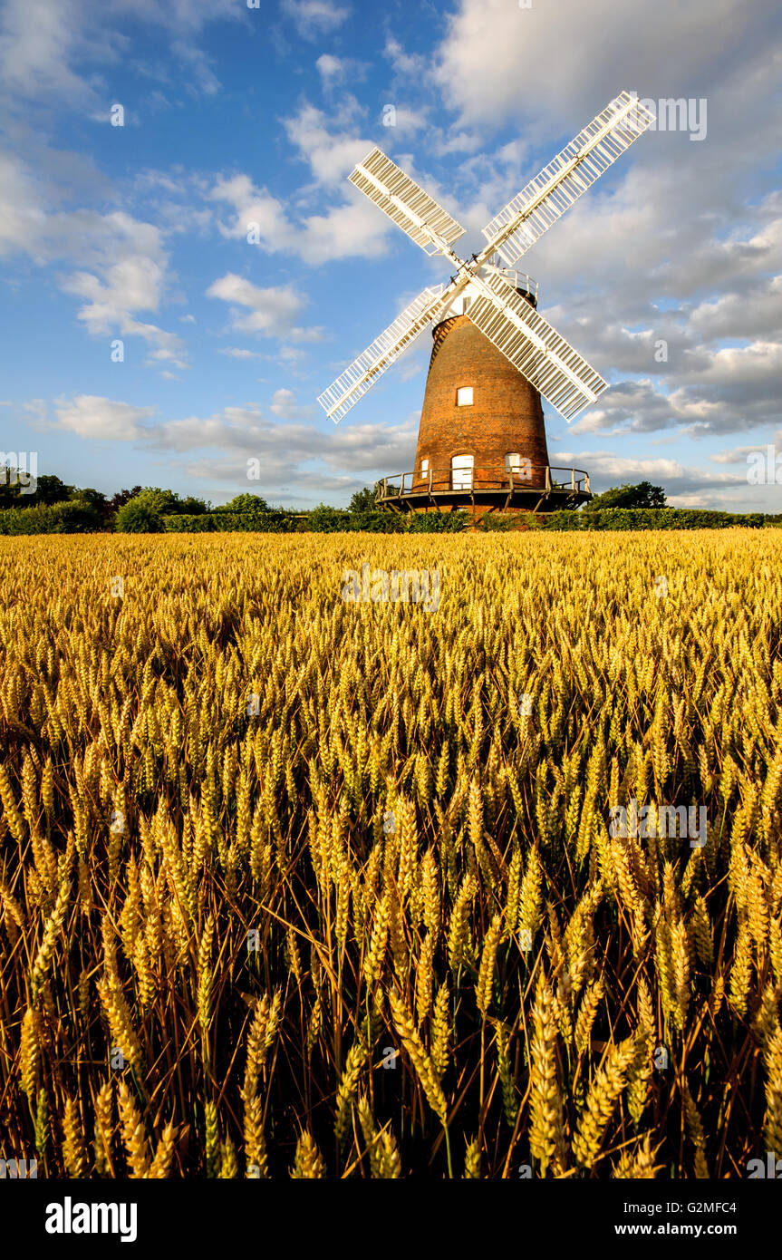 Thaxted Moulin, Essex, Angleterre, Royaume-Uni Banque D'Images