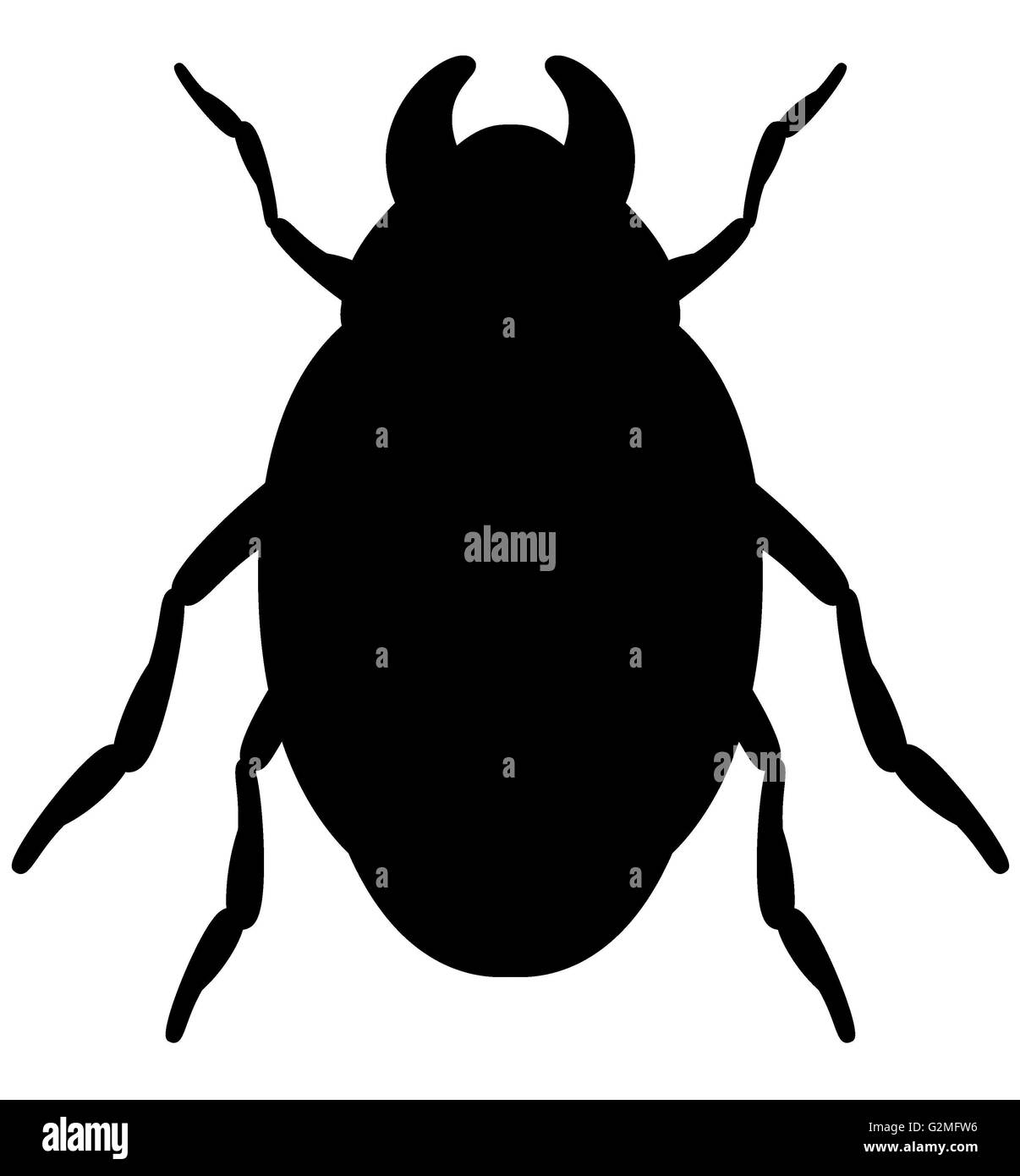 Contre bug noir fond blanc Banque D'Images