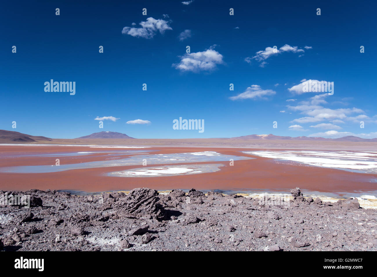 La Laguna Colorada avec de l'eau rouge dû à haut contenu d'algues à Uyuni, Lipez, Bolivie Banque D'Images