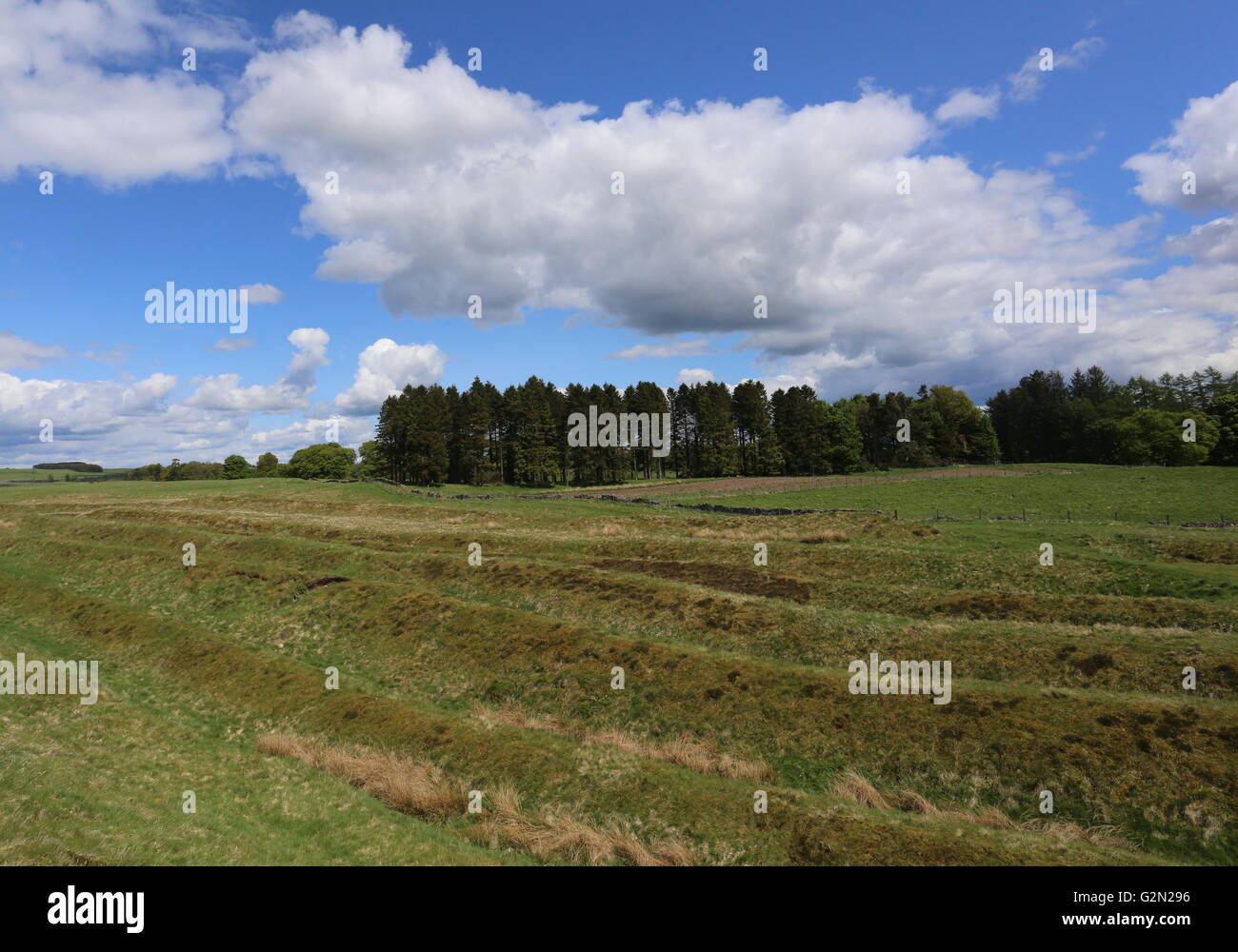 Vestiges de fossés et de remparts d'ardoch roman fort près de braco ecosse mai 2016 Banque D'Images