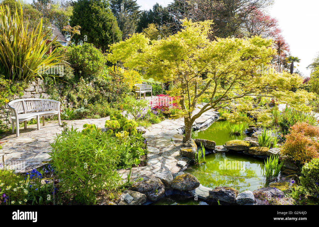 Le jardin d'eau à l'hôtel Meudon près de Cornwall Falmouth, Royaume-Uni Banque D'Images