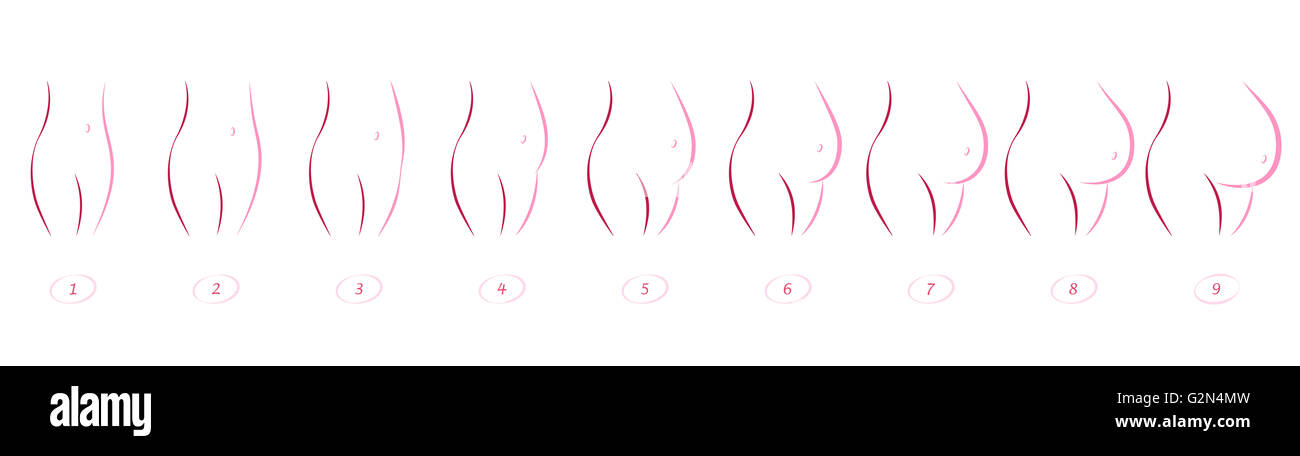 Etapes De La Grossesse Sequence De Croissance Du Ventre Dans Neuf Mois Icone Sommaire Illustration Sur Fond Blanc Photo Stock Alamy