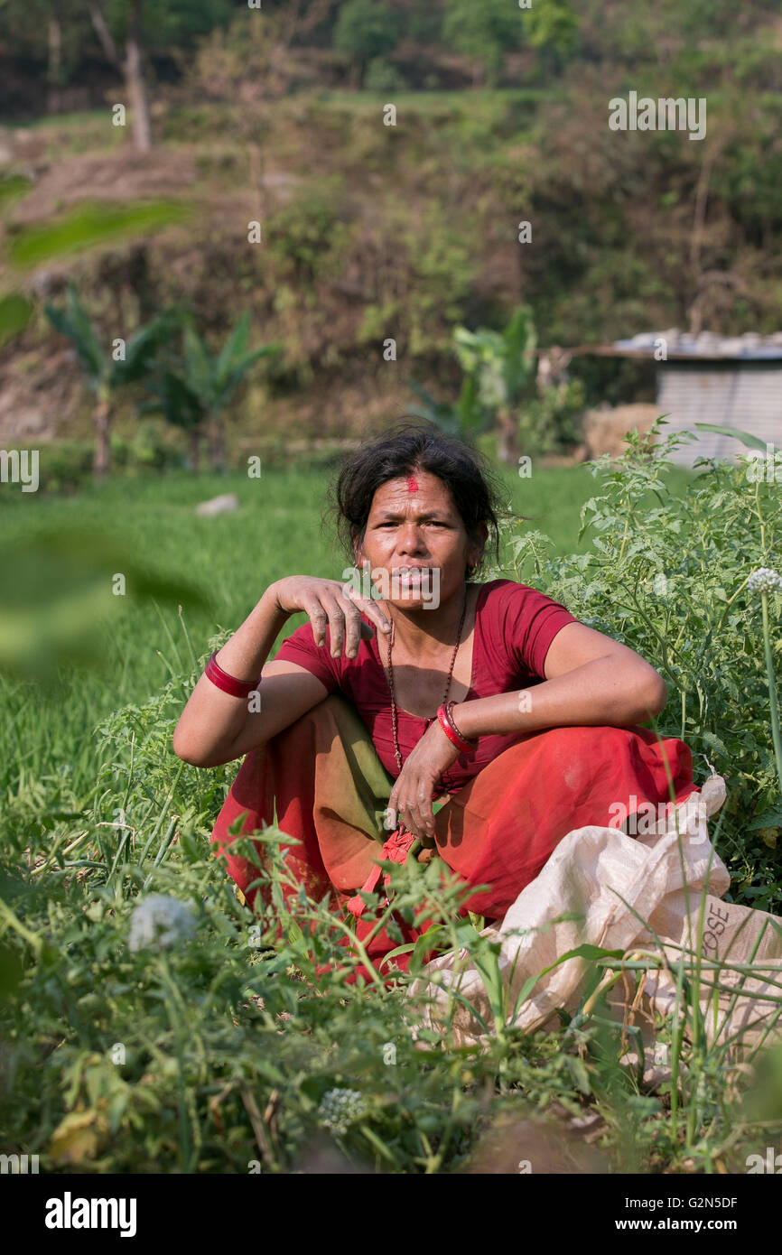 Femme agriculteur dans la région touchées par le tremblement de Nuwakot, au Népal. Banque D'Images