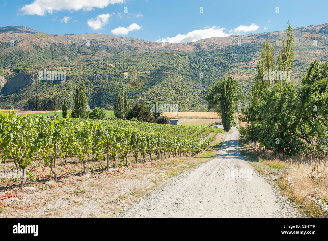 Gibbston Valley dans la région viticole de Central Otago sur l'île du Sud en Nouvelle Zélande Banque D'Images