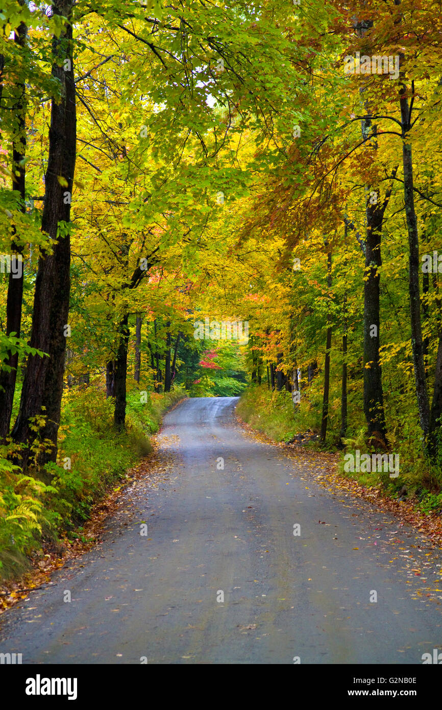 Feuillage d'automne sur une route rurale près de Stowe, Vermont, USA. Banque D'Images