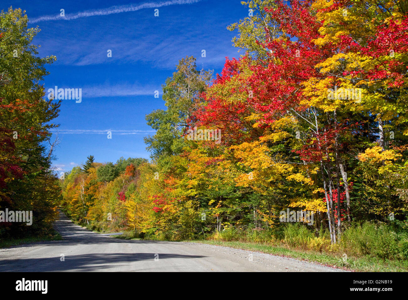 Feuillage d'automne sur un milieu rural backroad au nord de Stowe, Vermont, USA. Banque D'Images