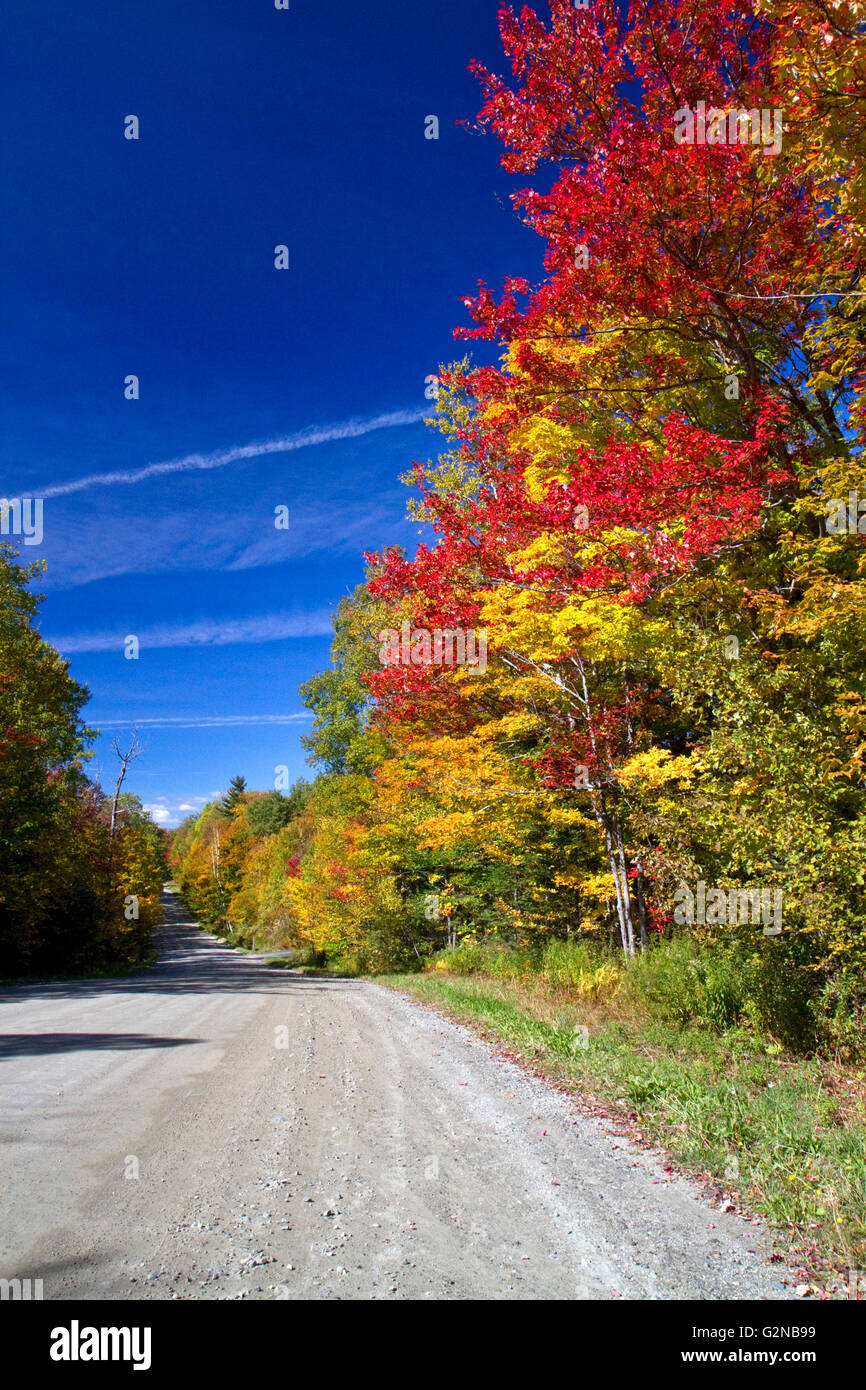 Feuillage d'automne sur un milieu rural backroad au nord de Stowe, Vermont, USA. Banque D'Images