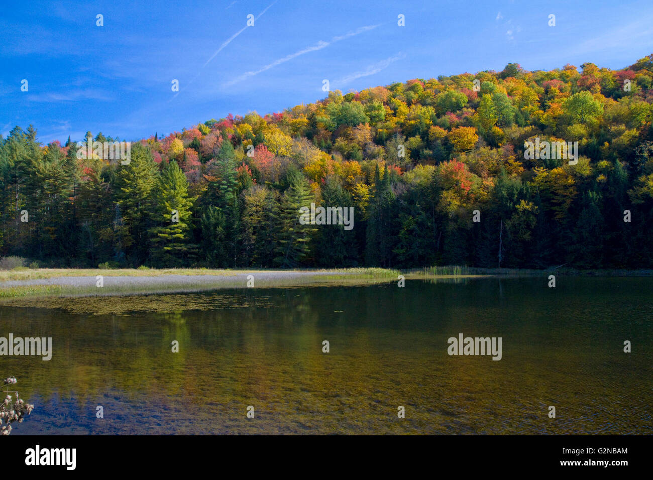 Feuillage d'automne au lac en Elligo Orleans County, California, USA. Banque D'Images