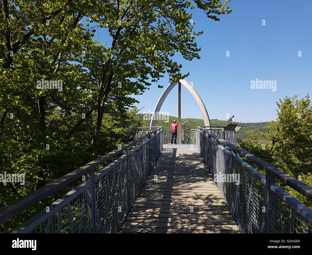 Baumkronenweg, Hessen, Buchenwald, Nationalpark, Kellerwald Banque D'Images