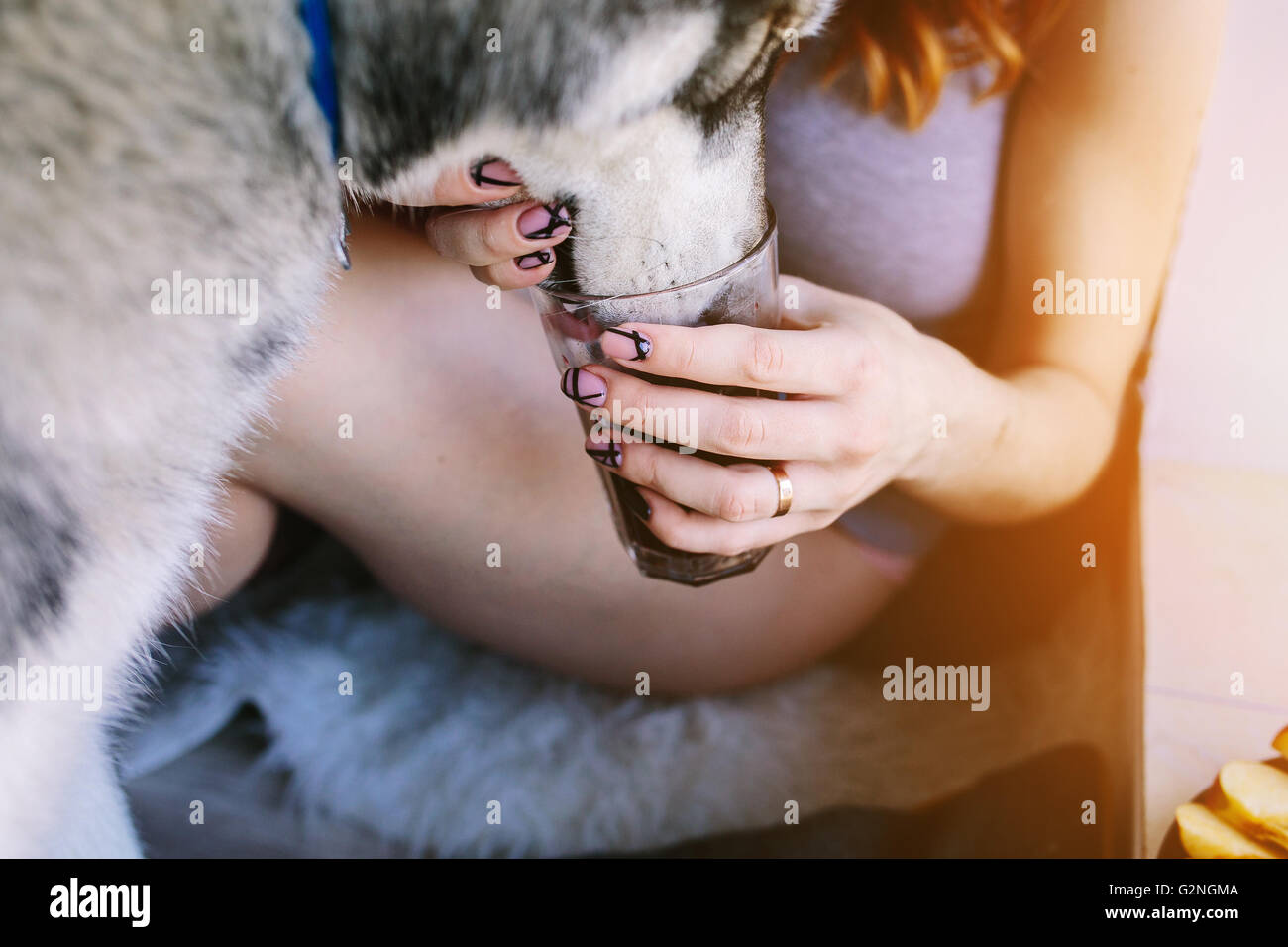 Nourrir un chien femme Banque D'Images