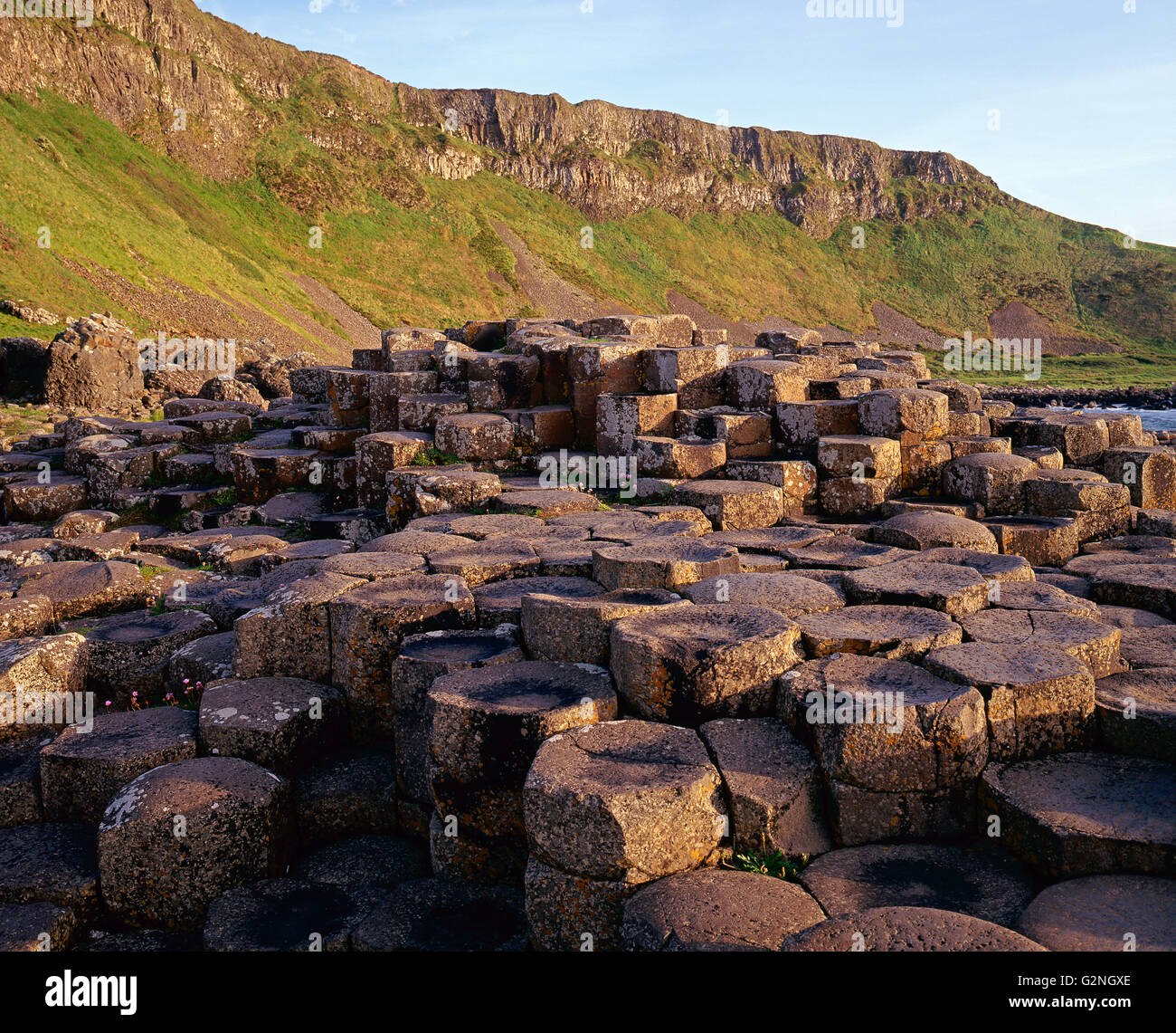 Giant's Causeway, colonnes de basalte à la suite d'éruption volcanique, le comté d'Antrim, en Irlande du Nord Banque D'Images