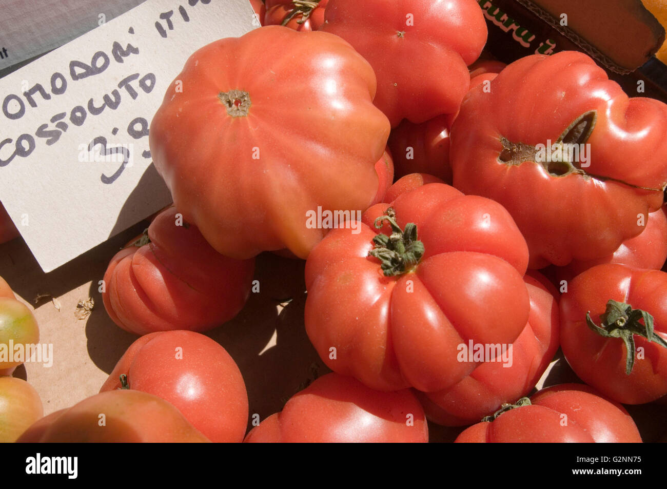Tomates Tomates rustique en forme de Mlle déformé difforme heirloom fruits fruits de forme étrange rouge formes forme curieusement costoluto savoureux Banque D'Images