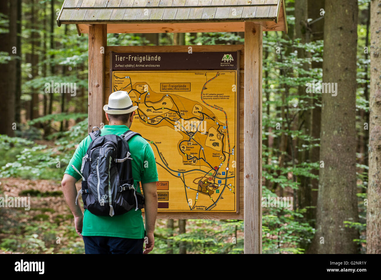 Lecture d'information board avec la carte dans le Tierfreigelände, parc d'animaux en plein air dans la forêt de Bavière, Allemagne NP Banque D'Images