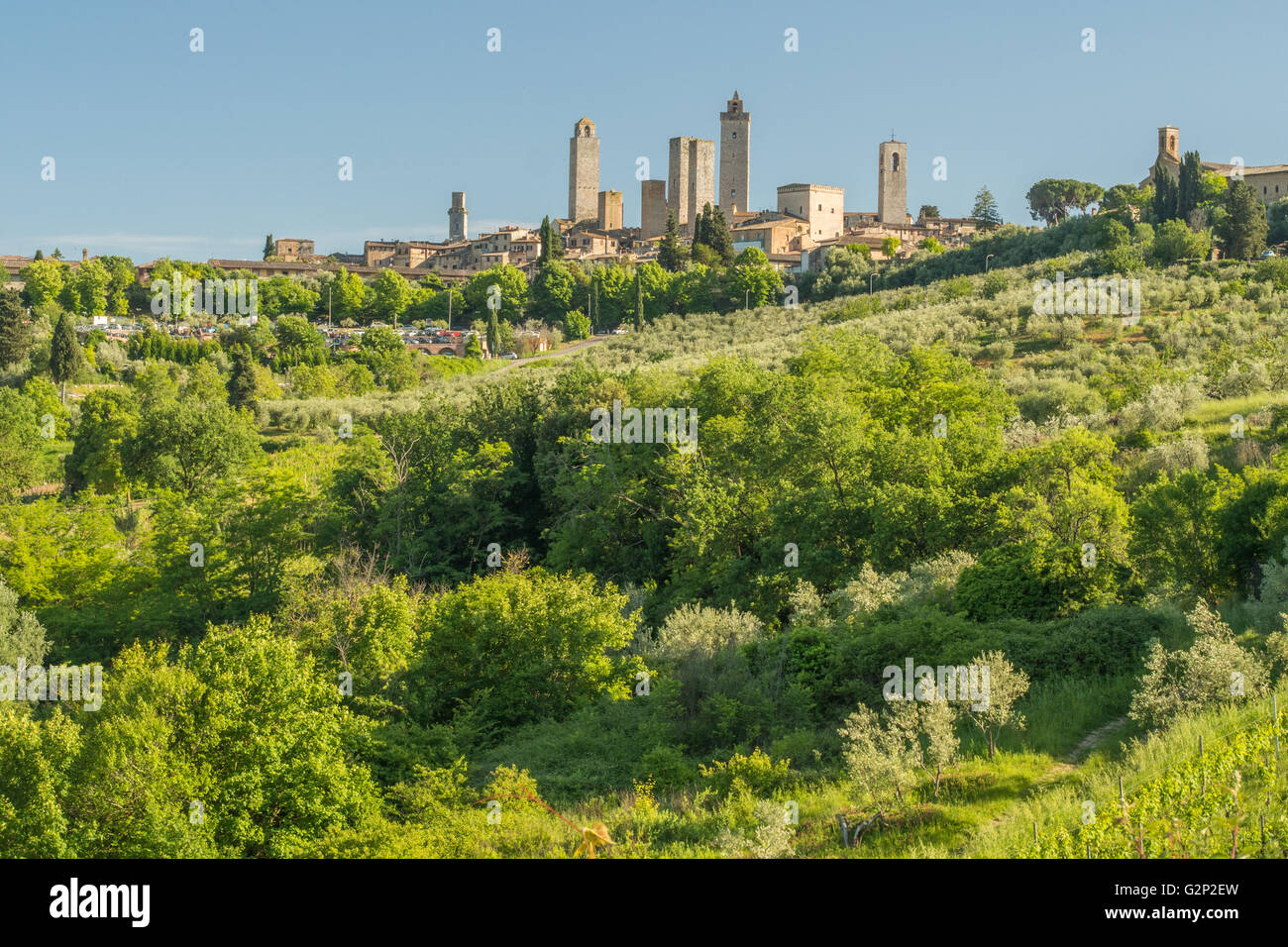 Vue sur San Gimignano dans son cadre rural, Toscane, Italie. Banque D'Images